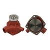 Wasserpumpe - Case IH (299671A1)