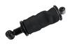 Kabinend�mpfer - Fendt (G737500201100)